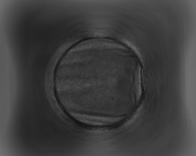 X0000099980673200806061524