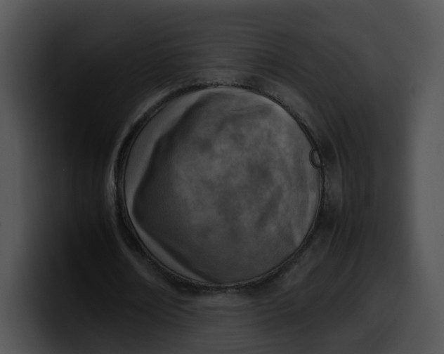 X0000099980674200806061524