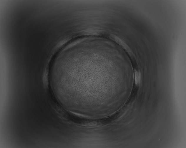 X0000099980675200806061524