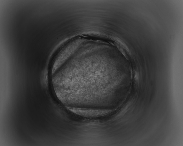 X0000099980676200806061524