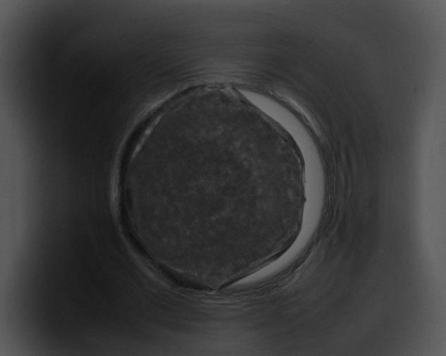 X0000099980677200806061524