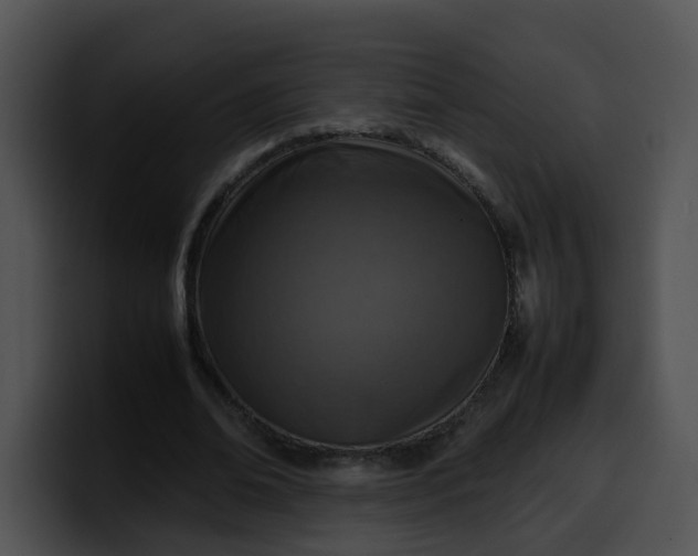 X0000099980678200806061524