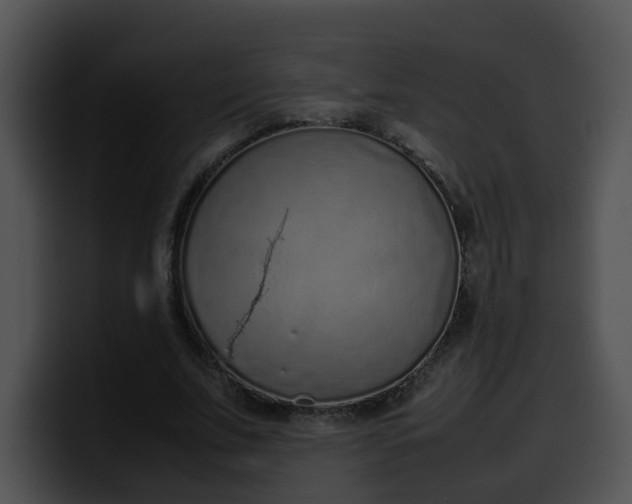 X0000099980679200806061524