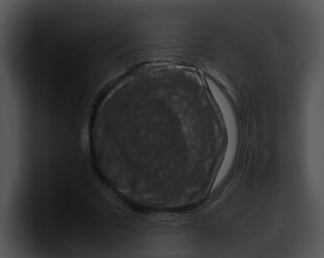 X0000099980681200806061524