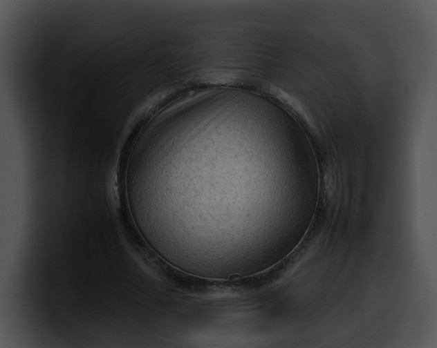 X0000099980682200806061524