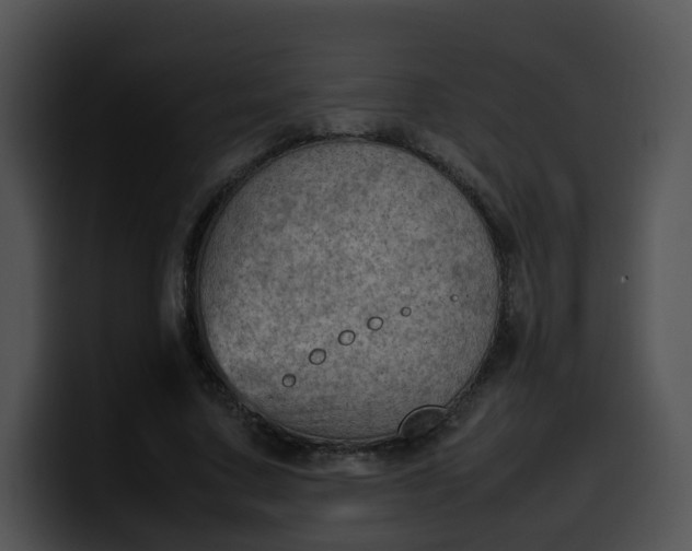 X0000099980683200806061524