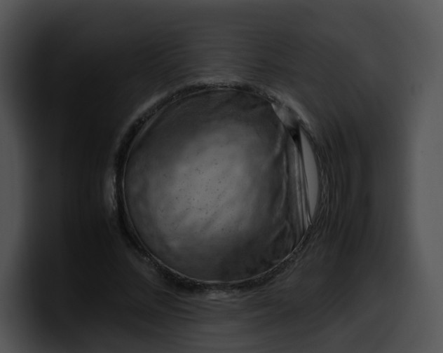 X0000099980684200806061524