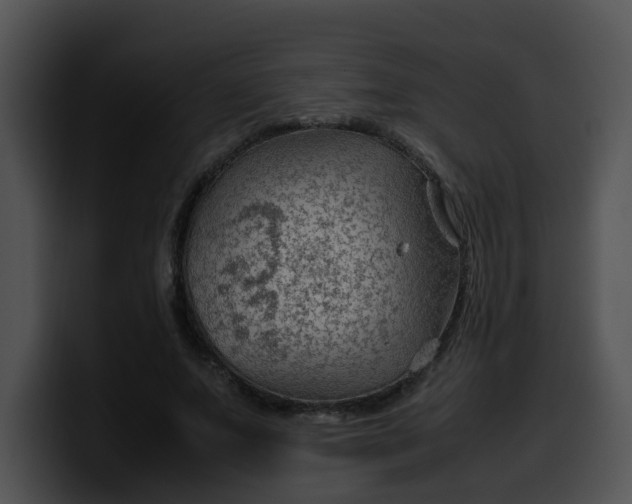 X0000099980687200806061524