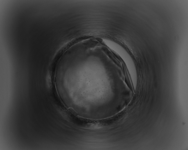 X0000099980688200806061524