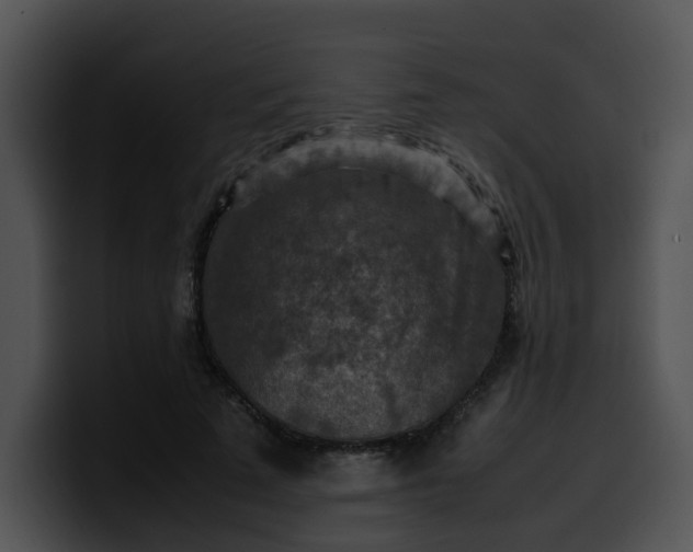 X0000099980689200806061524