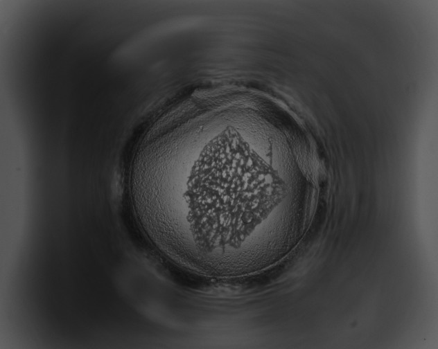 X0000099980691200806061524