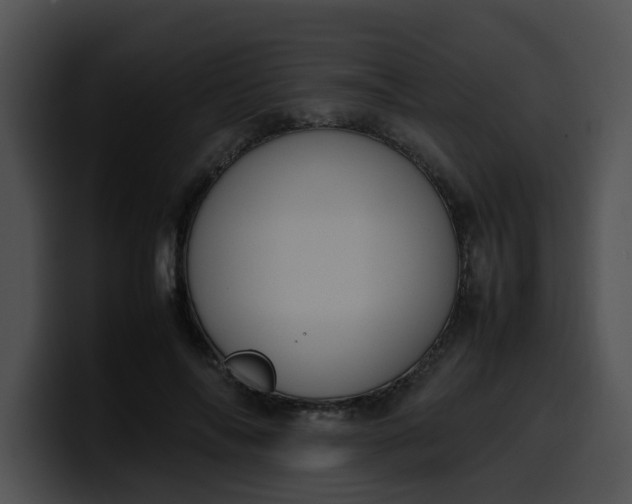 X0000099980694200806061524