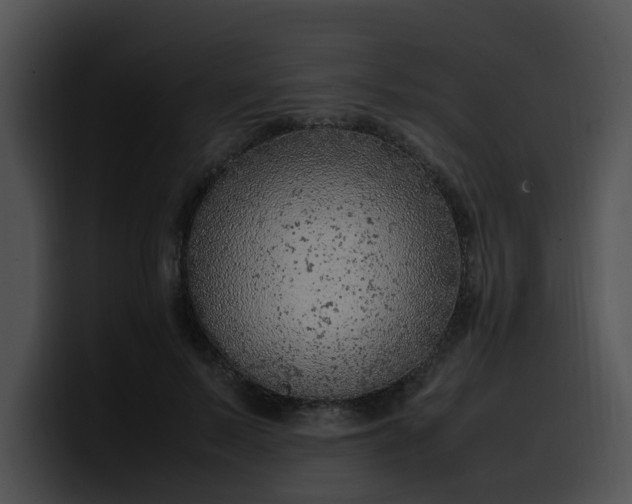 X0000099980695200806061524