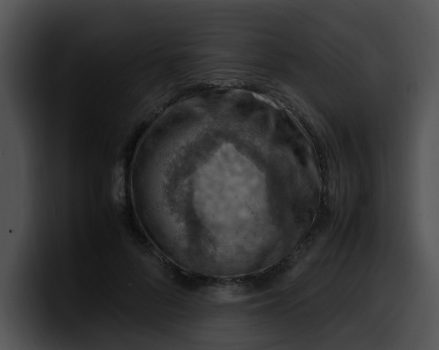 X0000099980696200806061524