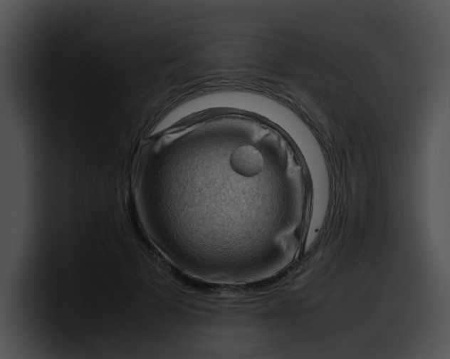 X0000099980697200806061523