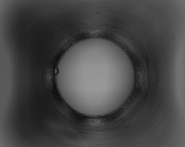 X0000099980698200806061523