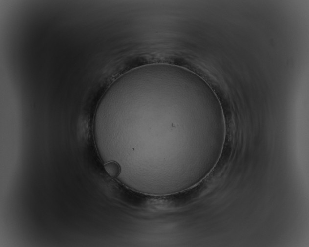 X0000099980699200806061523