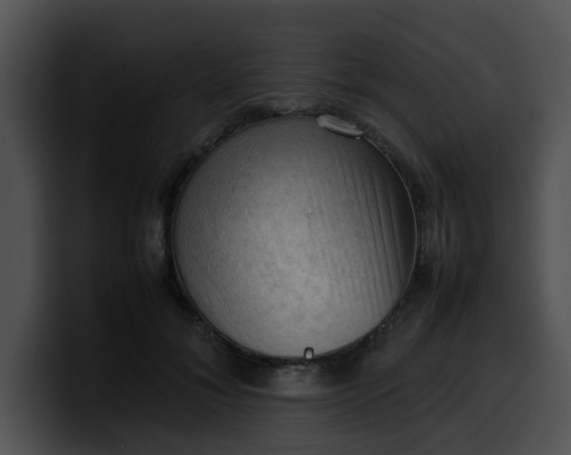 X0000099980700200806061523