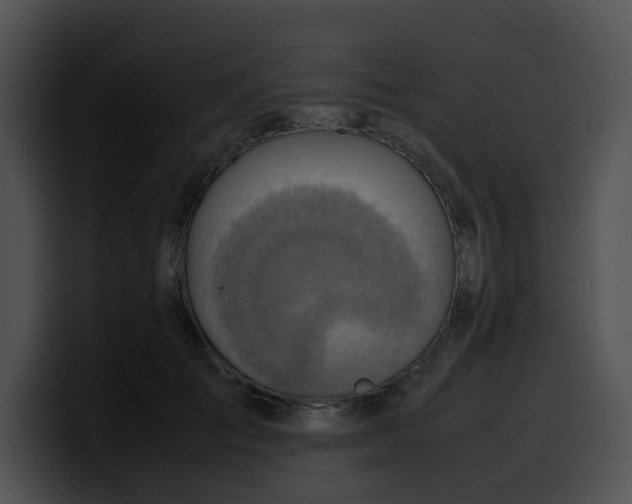 X0000099980701200806061523