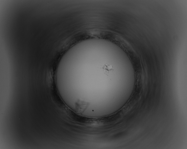 X0000099980702200806061523