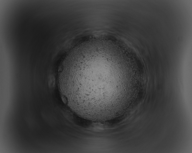 X0000099980703200806061523