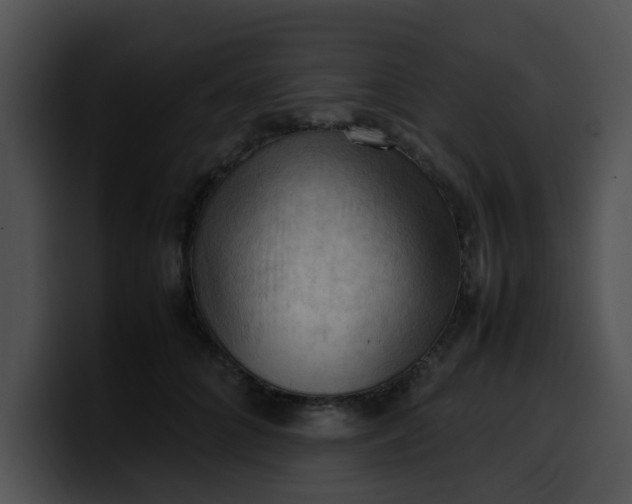 X0000099980704200806061523