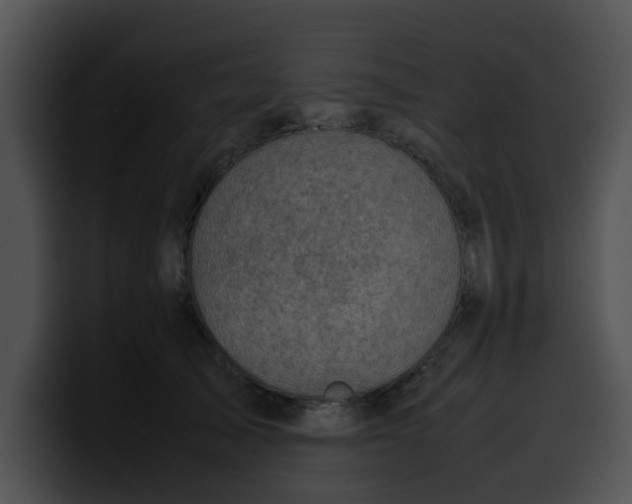 X0000099980705200806061523