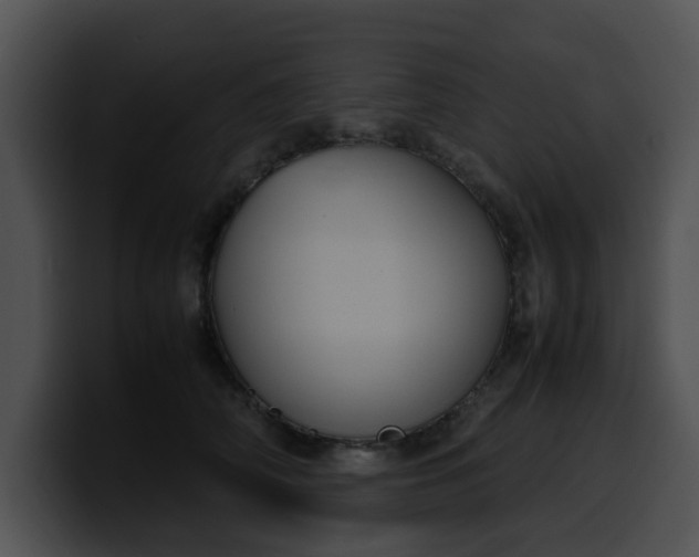 X0000099980706200806061523