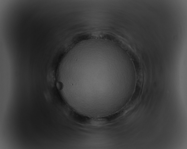 X0000099980707200806061523