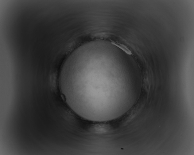 X0000099980708200806061523