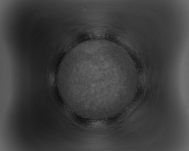 X0000099980709200806061523