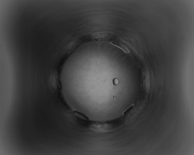 X0000099980712200806061523