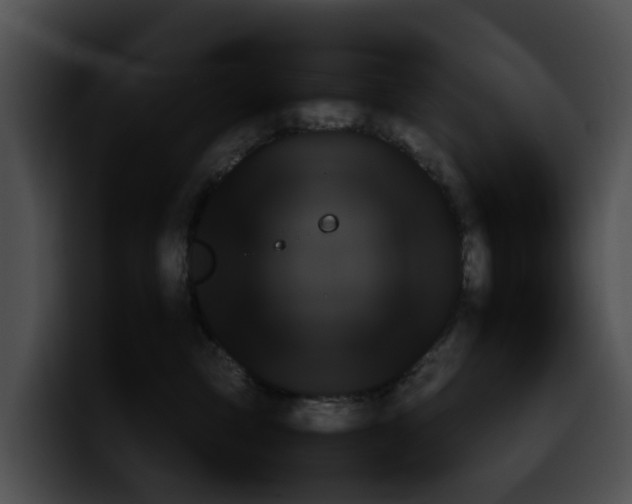 X0000099980713200806061523