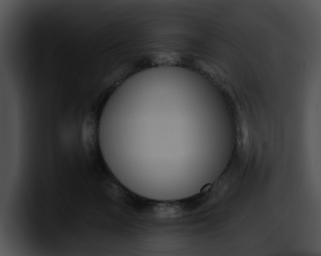 X0000099980714200806061523