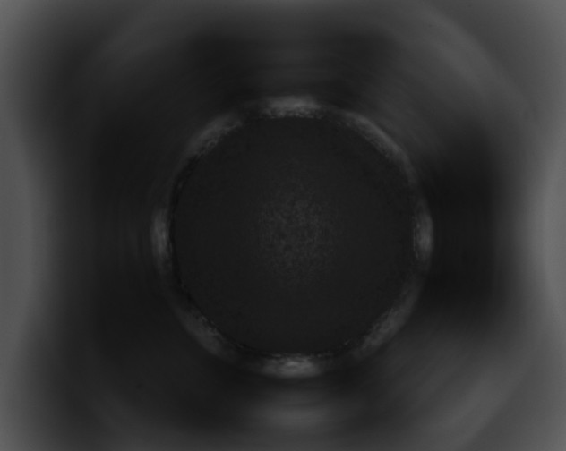 X0000099980715200806061523