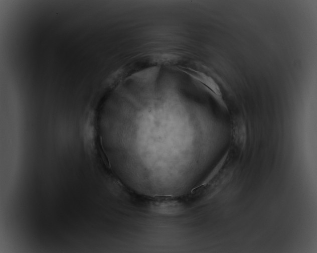 X0000099980716200806061523