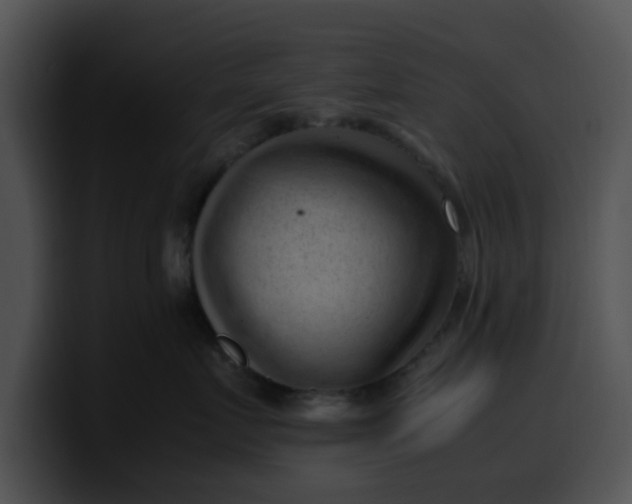 X0000099980719200806061523