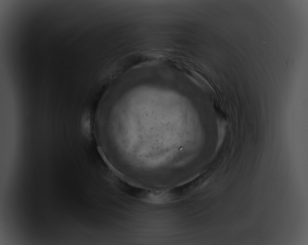 X0000099980720200806061523