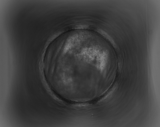 X0000099980721200806061522