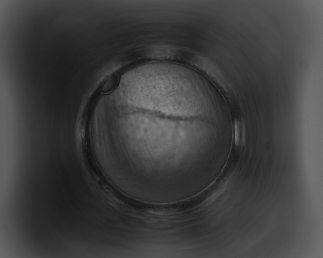 X0000099980723200806061523