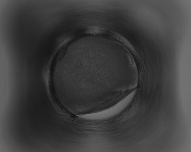 X0000099980724200806061523