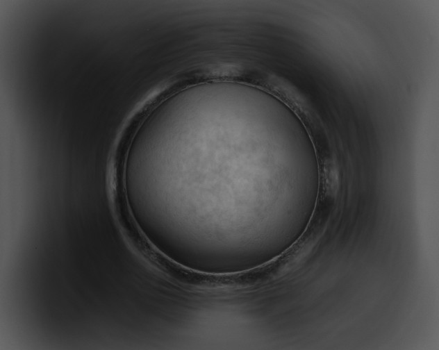 X0000099980726200806061523