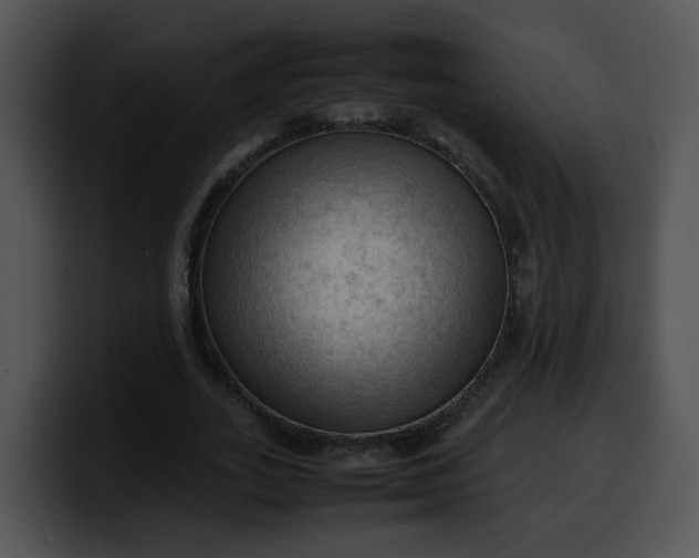 X0000099980727200806061523