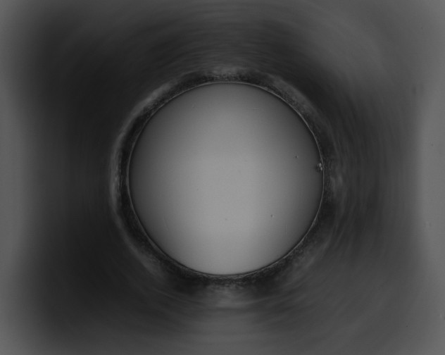 X0000099980728200806061523