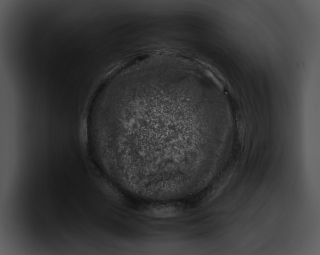 X0000099980729200806061523