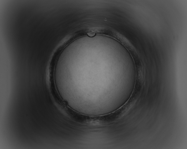 X0000099980730200806061523