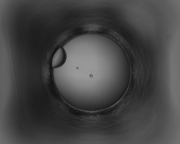 X0000099980731200806061523