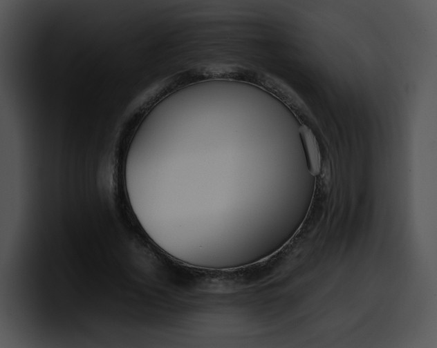 X0000099980732200806061523