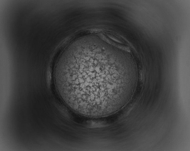 X0000099980733200806061523