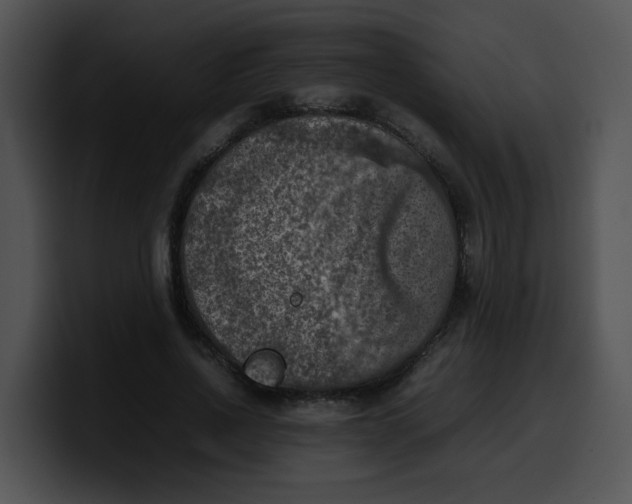 X0000099980734200806061523